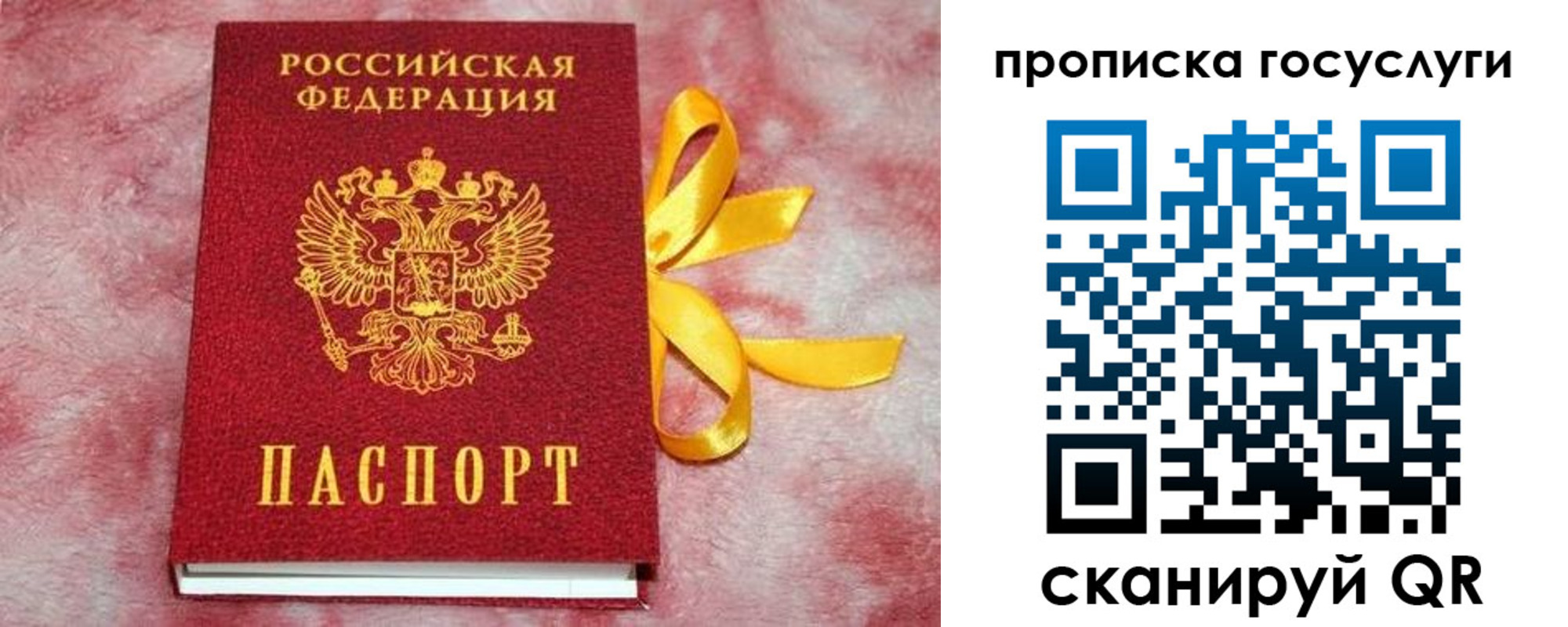 прописка законно в Пскове